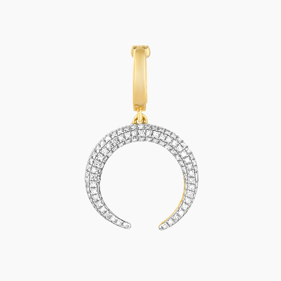 Horn Charm